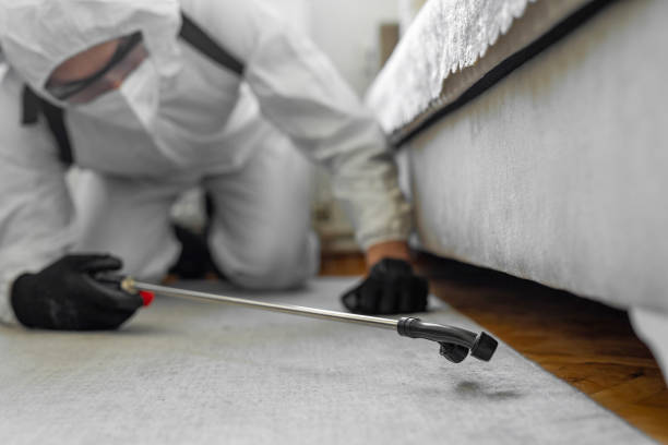 Professional Termite Control technician working in Dunbar, SC