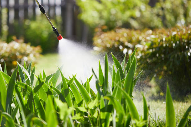 24/7 Emergency Termite Control experts in Dunbar, SC